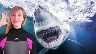 J'AI RENCONTRE UN GROS REQUIN 🦈 - PLAYSTATION VR