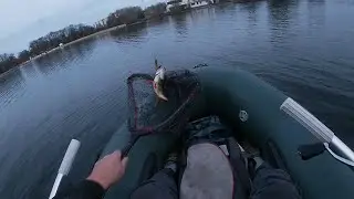 Две вечерние рыбалки