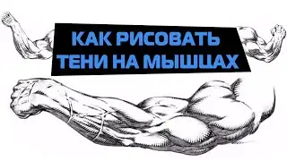КАК РИСОВАТЬ ТЕНИ НА МЫШЦАХ РУКИ