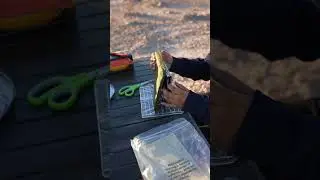 Why You Need This Portable Mini Firepit & Grill If Outdoor Adventures Are on Your Agenda for 2025