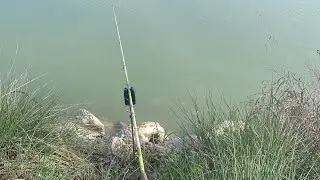 #pescuitlacrap #pescuitsportiv #fishingvideo #pesca #carping #fishing #carpe #pescuit #pescaria