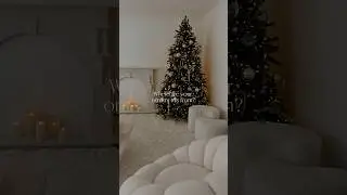 Christmas Tree Tour 🎄💫