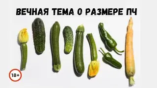 О размерах полового члена