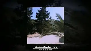m1luuu_ - DELAY