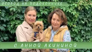 Огород на подоконнике I Анна Акинина