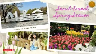 Cherry Blossoms & Tulips | Seoul Forest | Spring in Korea | Part 3 of 5