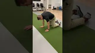 All 4's Cat Breathing
