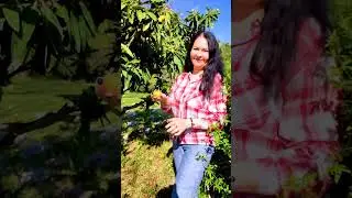 Вы знаете, что такое мушмула? 🍈