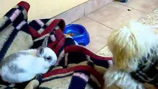 100_4318.MOV