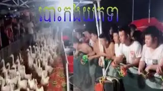 ដែលឃើញទេស្រុកខ្មែរបោះកងយកទា😄😄