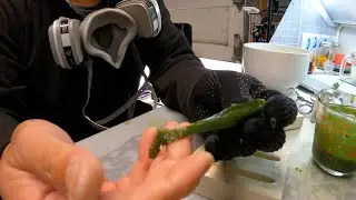 NO TALKING: How to Make a Soft Bait Mold and the Bait