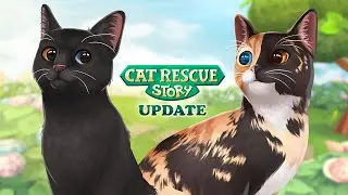 Cat Rescue Story: Update