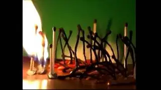 Учебная режиссерская работа актрисы Елены Саар. Натюрморт - жанр. 2016 год