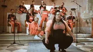 Netta - 
