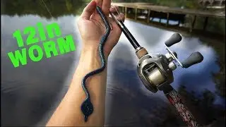 Foot Long Worm Catches GIANT Texas Bass — My Personal Best!