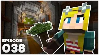 Hermitcraft 9 038 | THE MAGIC DARK OAK TREE FARM 💥