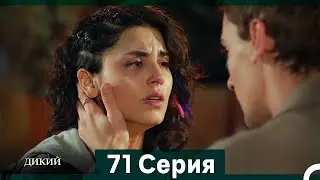 Дикий 71 Серия (Русский Дубляж)