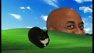 Кот танцует