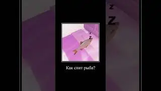 Как спит рыба 