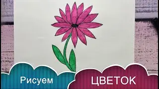 Как нарисовать ЦВЕТОК
