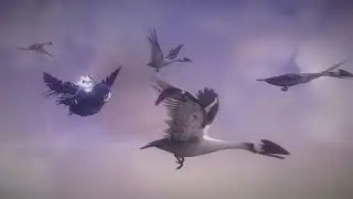 Ori and the Will of the Wisps Part1
