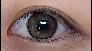[하파크리스틴 / 소피추천] 시크리티브 베이지 보정 없는 솔직 리뷰 / [HAPAKRISTIN] SECRETIVE BEIGE COLOR CONTACT LENS REVIEW
