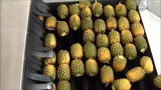 How To Make Pineapple Juice