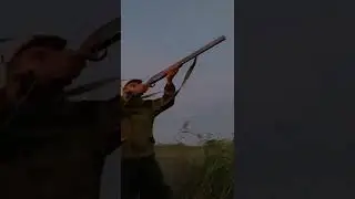 Открытие охоты 🦆 2022 