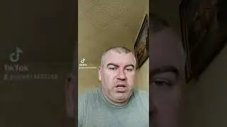 анекдот змея укусила била в половой орган