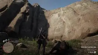 RACHEL NOOOOO [Red Dead Redemption 2]