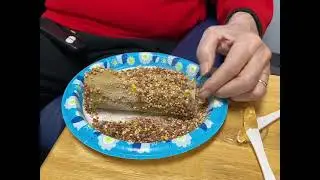 DIY Bird Feeder For Any Age | Elder Care Services