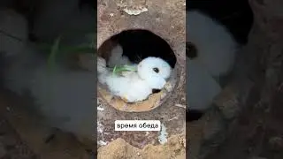 приятного аппетита ☺️