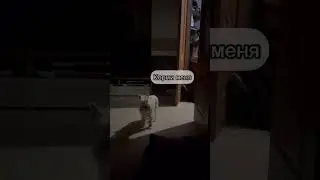 Как же не нравится, когда всё пошло не по твоему плану