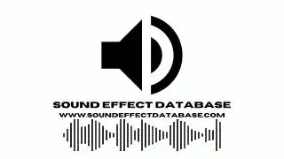 Female Pacific Walrus Single Roar Sound Effect
