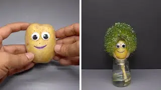 Growing Chia Seeds With Potato