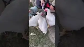 😲СВЯТЫЕ МЕСТА🙏👍❤️💕
