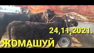 МИНГБУЛОК ЖОМАШУЙ МОЛ БОЗОРИ.