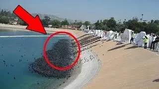 CRAZY Ideas That Actually Worked