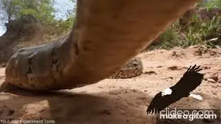 Scary stuff that can make you scream! (Actually it isn’t so scary at all)