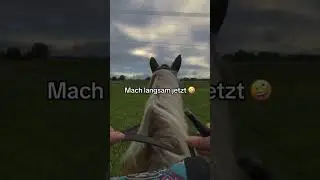 Omg was ein Ausritt 🤡/ Jeza buckelt😳#jezabelle
