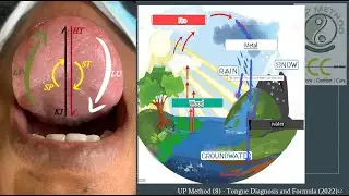 Intro of TCM Tongue Dignosis with Dr. Ching Ching Chi