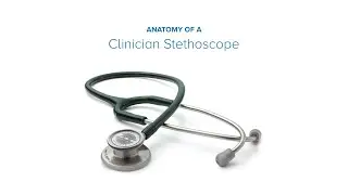 Anatomy of a Clinician Stethoscope