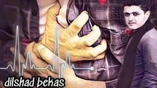 dilshad bekas - mn u dll