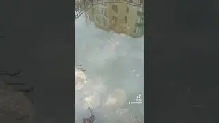 24 марта 2024 г.