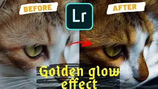 How to Give Golden Glow effect|Lightroom mobile