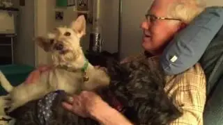 ScottieDad