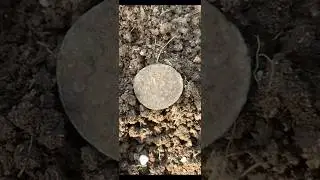 Какая же красивая монетка попалась🔥#metaldetecting #коп #древняя #поиск #coin #серебро