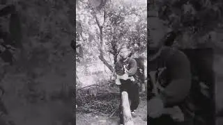 Бой на Топорах - Axe Fight