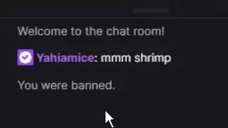 I got banned on Twitch...