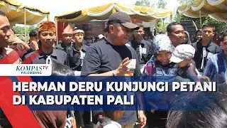 Herman Deru Janji Tingkatkan Pertanian untuk Ketahanan Pangan Sumsel